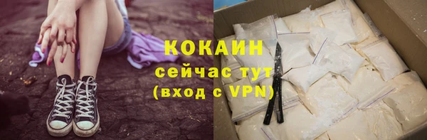 твердый Балахна