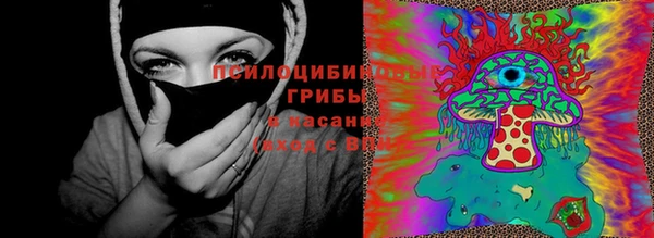 PSILOCYBIN Пролетарск