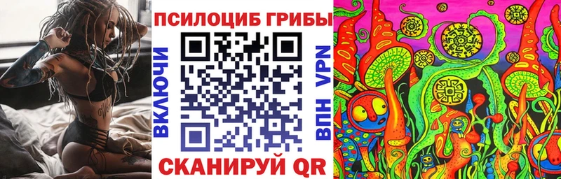 Псилоцибиновые грибы Psilocybe  как найти закладки  Электрогорск 